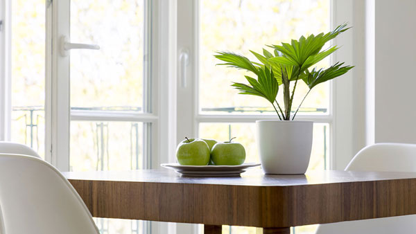 window, Hamburg | Zöller UG Dienstleistungen rund ums Haus , Höhr-Grenzhausen